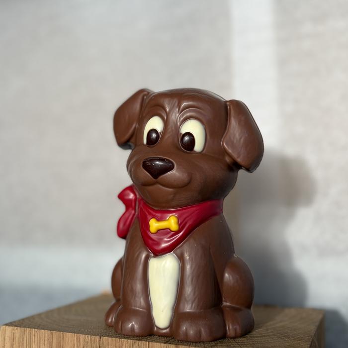 Hondje Ute